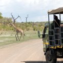 BWA NW Chobe 2016DEC04 NP 129 : 2016, 2016 - African Adventures, Africa, Botswana, Chobe National Park, Date, December, Month, Northwest, Places, Southern, Trips, Year